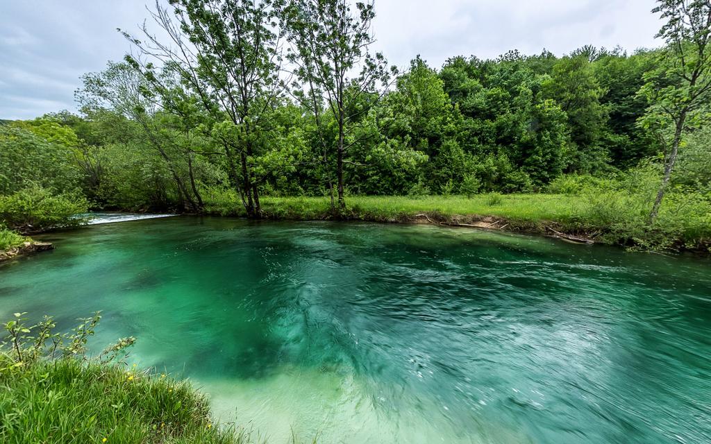 Bear'S Log Villa Selište Drežničko Kültér fotó